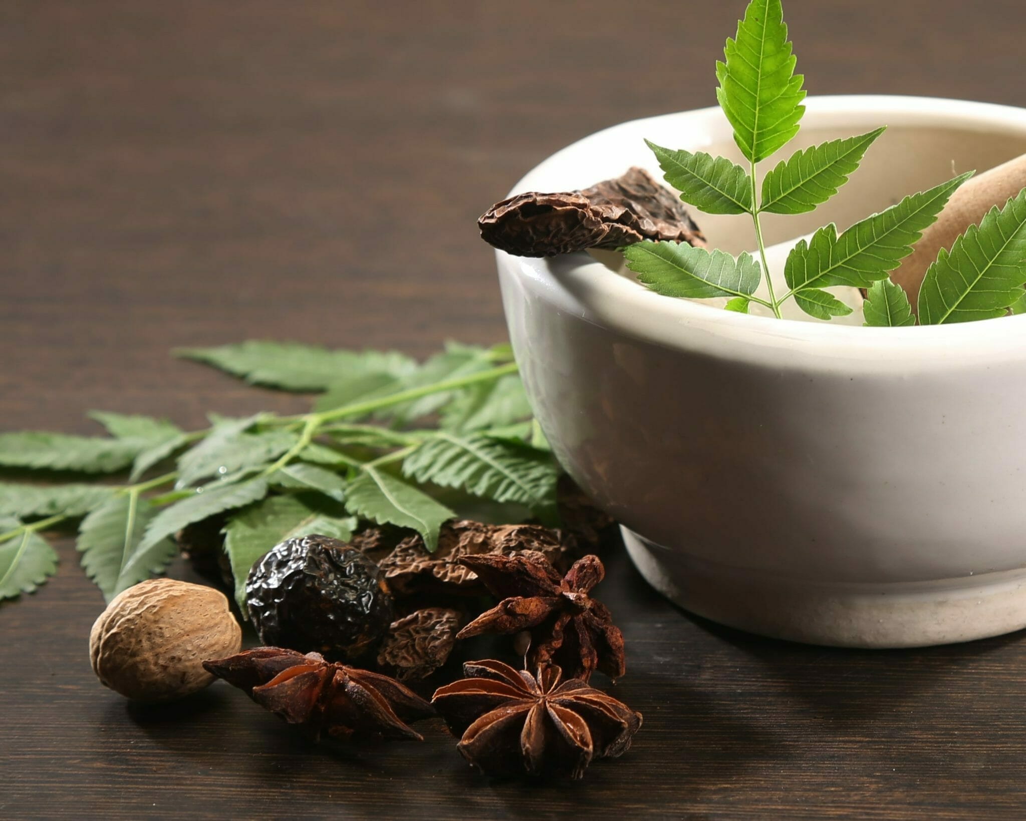 Ayurvedic Herbs: A Natural Solution For Reducing Inflammation And Pain